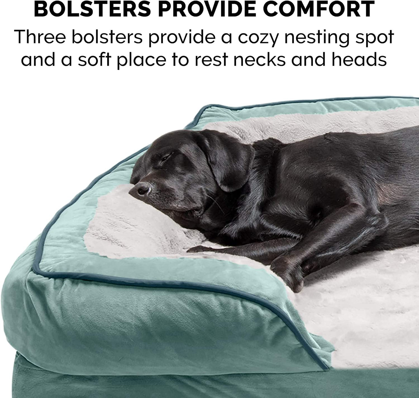 Plush Celadon Green Memory Foam Dog Bed with Removable Bolsters - Perfect Comfort for Small Dogs up to 20 lbs