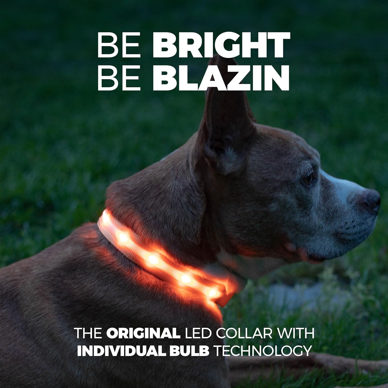 Illuminate Your Dog's Safety with the Original LED Dog Collar - USB Rechargeable, Waterproof, and 1,000 Feet of Visibility for Pets of All Sizes