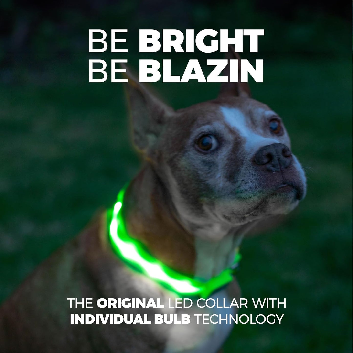 Illuminate Your Dog's Safety: Original USB Rechargeable LED Dog Collar - Waterproof, 1,000 Feet Visibility for All Dog Sizes - Trusted USA Brand