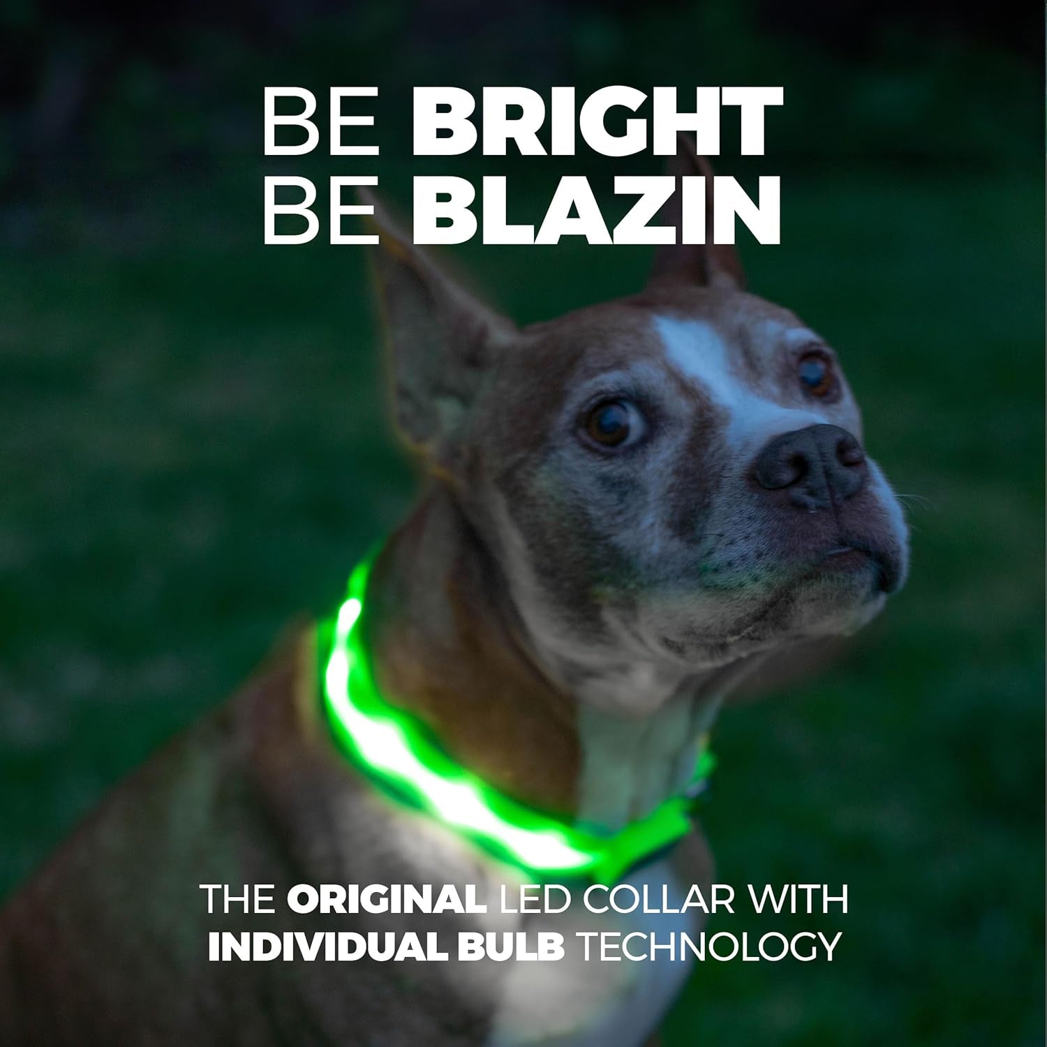 Illuminate Your Dog's Safety: Original USB Rechargeable LED Dog Collar - Waterproof, 1,000 Feet Visibility for All Dog Sizes - Trusted USA Brand
