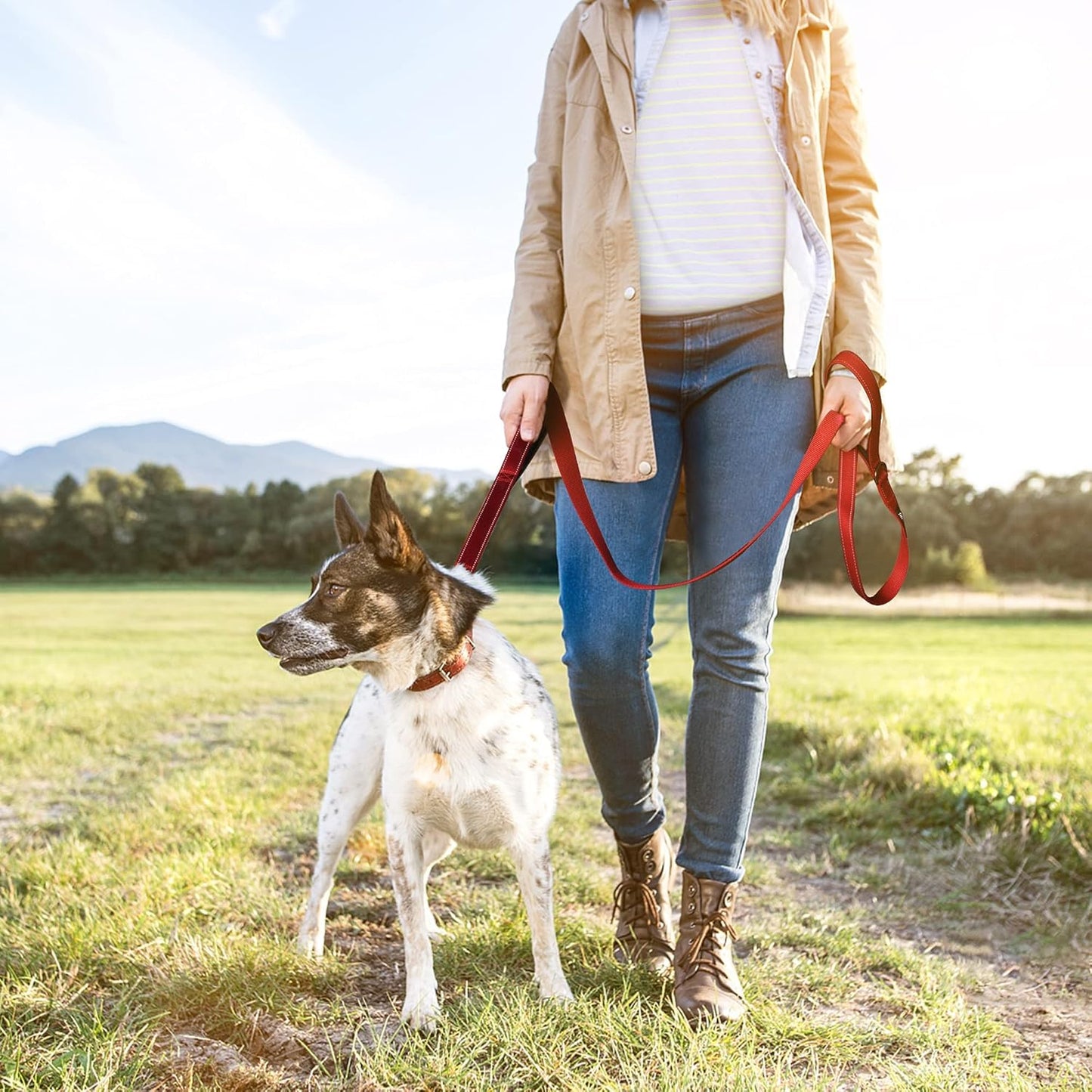 4FT Strong Red Dog Leash with Dual Padded Handles - Traffic Control, Reflective Safety, and Auto Lock Hook for All Dog Sizes