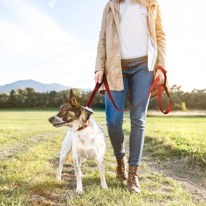 4FT Strong Red Dog Leash with Dual Padded Handles - Traffic Control, Reflective Safety, and Auto Lock Hook for All Dog Sizes