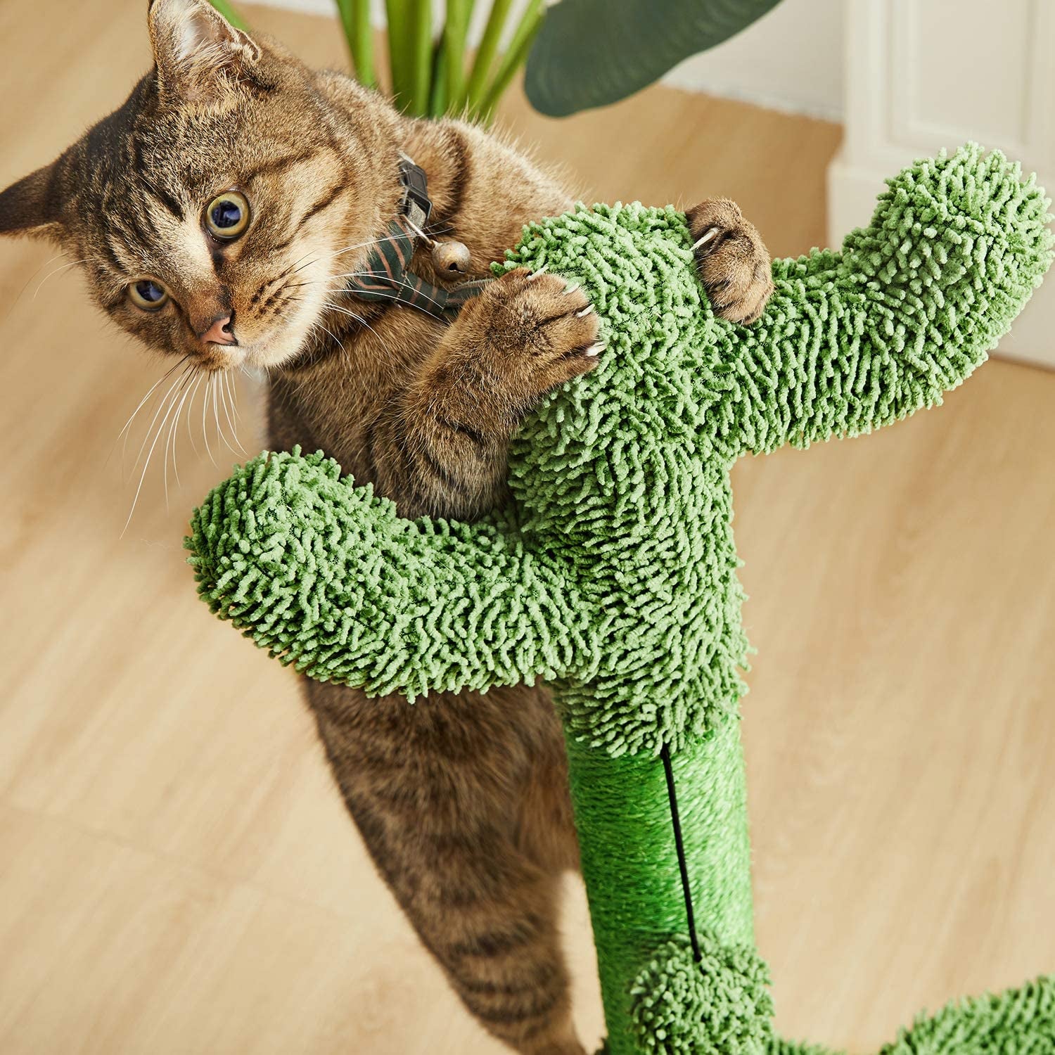 Deluxe 35-Inch Green Cactus Cat Tree with Hammock & Sisal Scratching Post - Perfect for Large Cats!