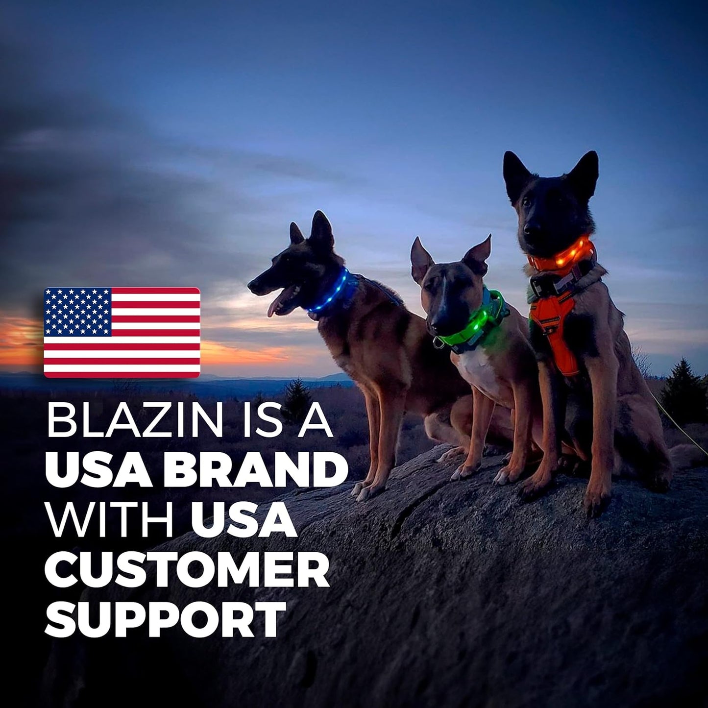 Illuminate Your Dog's Safety with the Original LED Dog Collar - USB Rechargeable, Waterproof, and 1,000 Feet of Visibility for Pets of All Sizes