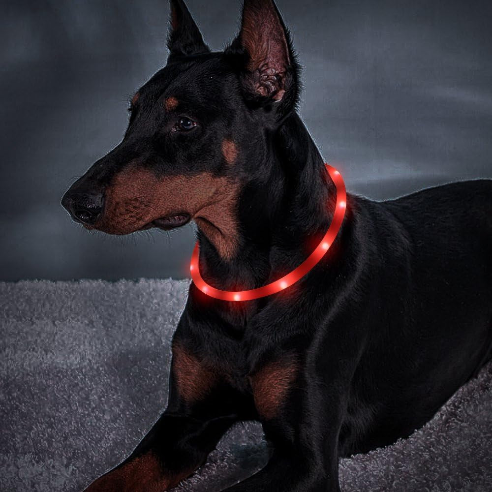 USB Rechargeable LED Dog Collar - Glow in the Dark Silicone Necklace Light for Pets (Red)