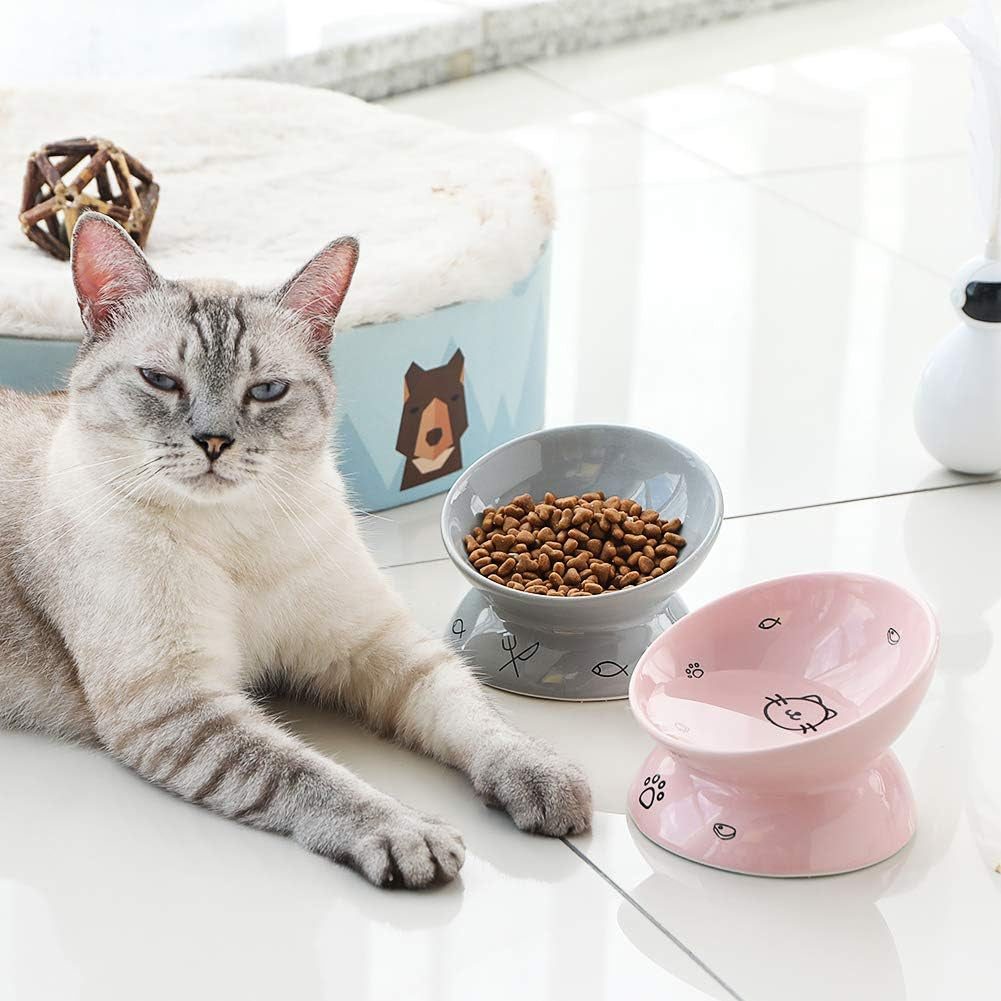 Elevated Pink Ceramic Cat Bowls - Slanted Design for Stress-Free Eating & Backflow Prevention