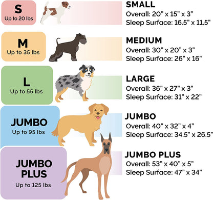 Plush Celadon Green Memory Foam Dog Bed with Removable Bolsters - Perfect Comfort for Small Dogs up to 20 lbs