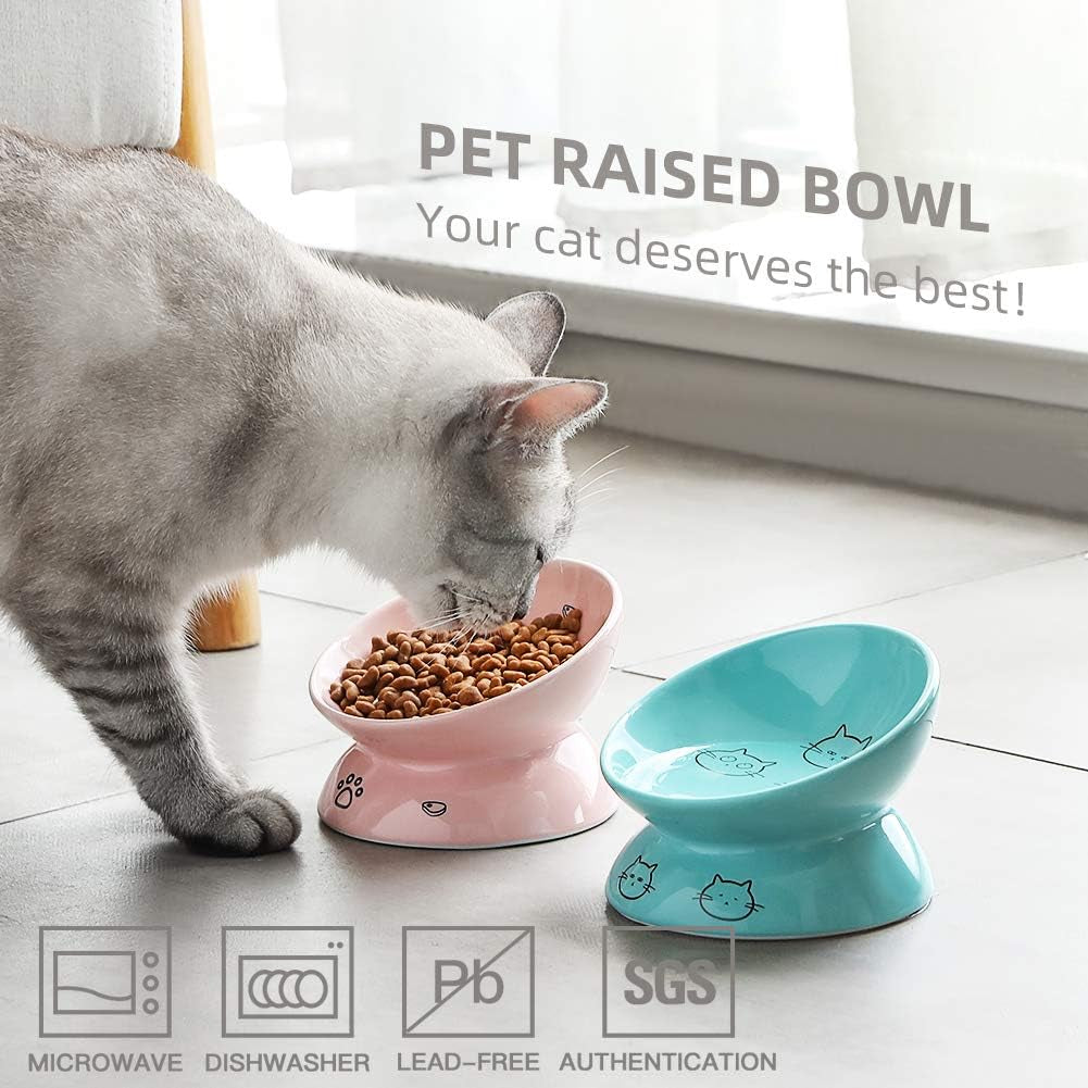Elevated Pink Ceramic Cat Bowls - Slanted Design for Stress-Free Eating & Backflow Prevention
