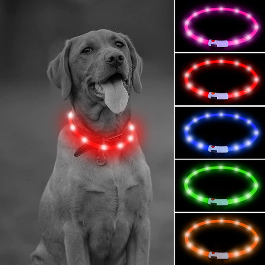 USB Rechargeable LED Dog Collar - Glow in the Dark Silicone Necklace Light for Pets (Red)