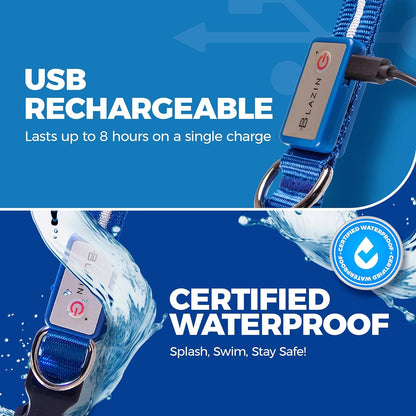 Illuminate Your Dog's Safety: Original USB Rechargeable LED Dog Collar - Waterproof, 1,000 Feet Visibility for All Dog Sizes - Trusted USA Brand