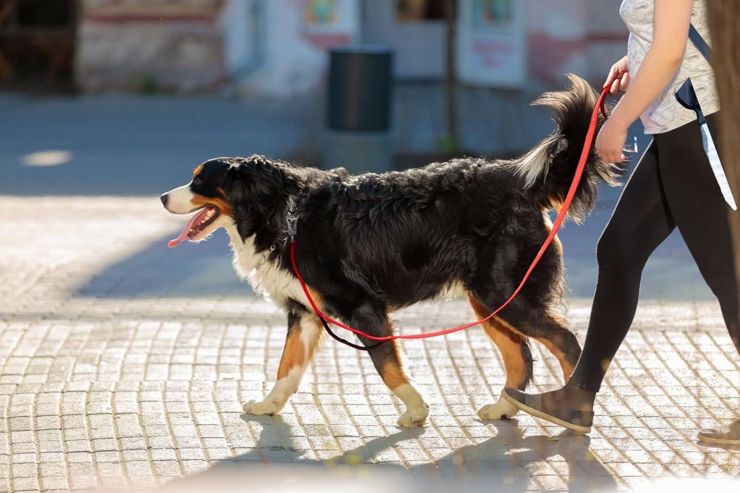 4FT Strong Red Dog Leash with Dual Padded Handles - Traffic Control, Reflective Safety, and Auto Lock Hook for All Dog Sizes